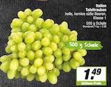 EDEKA Münster - Italien Tafeltrauben Angebot im Prospekt Italien Tafeltrauben bei EDEKA im Münster Prospekt für 1,49 €