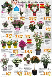 Aktueller Globus-Baumarkt Prospekt mit Kissen, "Immer eine Idee besser", Seite 2