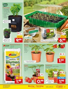 Blumenerde im Netto Marken-Discount Prospekt "Aktuelle Angebote" mit 60 Seiten (Karlsruhe)