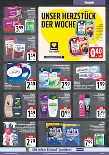 Katzenfutter im E center Prospekt "Wir lieben Lebensmittel!" mit 28 Seiten (Dresden)