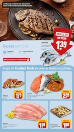 Welsfilet im REWE Prospekt "Dein Markt" auf Seite 25