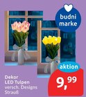 Dekor LED Tulpen von budni marke im aktuellen budni Prospekt