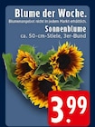 Angebot im E center Düren Prospekt E center Düren Prospekt mit im Angebot für 3,99 €