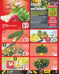 Farbe Angebot im aktuellen EDEKA Prospekt auf Seite 3