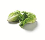 Lidl - Mini Romana Salat Angebot im Prospekt Mini Romana Salat bei Lidl im Prospekt "" für 0,79 €
