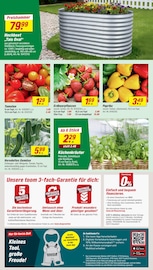 Aktueller toom Baumarkt Prospekt mit Gemüse, "Respekt, wer's selber macht.", Seite 2