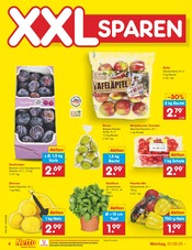 Pflanzen im Netto Marken-Discount Prospekt in Fulda Aktueller Netto Marken-Discount Prospekt mit Pflanzen, "Aktuelle Angebote", Seite 4