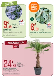 Offre Plantes dans le catalogue Botanic du moment à la page 4