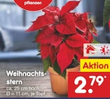 Weihnachtsstern im Angebot bei Netto Marken-Discount in Detmold Weihnachtsstern Angebote bei Netto Marken-Discount Detmold für 2,79 €