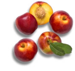 Kaufland Karlsruhe Prospekt mit  im Angebot für 1,79 €