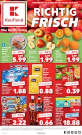 Kaufland Supermarkt Prospekt der aktuellen Woche mit 59 Seiten, gültig von 02.01.2026 bis 07.01.2026, in Meschede und Umgebung Aktueller Kaufland Supermarkt Prospekt in Meschede und Umgebung, "Aktuelle Angebote" mit 59 Seiten, 02.01.2026 - 07.01.2026