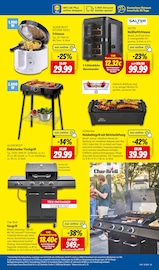 Aktueller Lidl Prospekt mit Holzkohlegrill, "LIDL LOHNT SICH", Seite 41