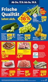 Forelle im Lidl Prospekt in Schwäbisch Gmünd Aktueller Lidl Prospekt mit Forelle, "LIDL LOHNT SICH", Seite 57