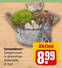 Sonnentänzer im Angebot bei REWE in Brühl Sonnentänzer Angebote bei REWE Brühl für 8,99 €