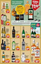 Aktueller REWE Prospekt mit Jägermeister, "Dein Markt", Seite 19