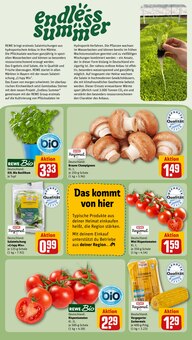 Tomaten im REWE Prospekt "Dein Markt" mit 32 Seiten (Nürnberg)