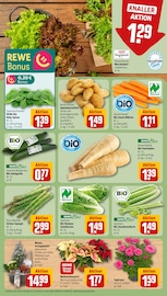 Aktueller REWE Prospekt mit Spargel, "Dein Markt", Seite 7