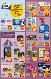 Katzenfutter Angebot im aktuellen REWE Prospekt auf Seite 26