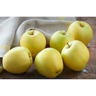 Pomme Golden Delicious FILIERE QUALITE CARREFOUR dans le catalogue Carrefour Market