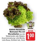 Herzstücke Blattsalat-Mix mit Wurzelballen bei E center im Sigmaringen Prospekt für 1,00 €