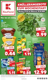 Kaufland Prospekt für Borna mit 61 Seiten Kaufland Prospekt für Borna: "Aktuelle Angebote", 61 Seiten, 27.10.2025 - 29.10.2025