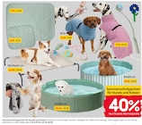 Sommerschnäppchen für Hunde und Katzen Angebote bei Rusta Essen für 2,39 €