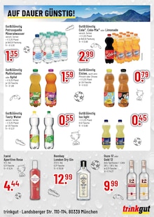 Fanta im Trinkgut Prospekt "Aktuelle Angebote" mit 4 Seiten (München)