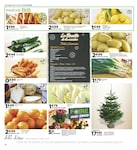 Courgette Courgette