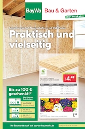 Aktueller BayWa Bau- und Gartenmärkte Prospekt, "Hier bin ich gern", mit Angeboten der Woche, gültig von 20.01.2025 bis 20.01.2025