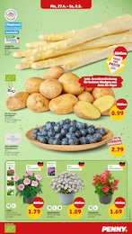 Kartoffeln Angebot im aktuellen Penny Prospekt auf Seite 3