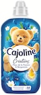 Adoucissant concentré Cajoline Créations Fleur de Tiaré & Pivoine - CAJOLINE en promo chez Colruyt Adoucissant concentré Cajoline Créations Fleur de Tiaré & Pivoine - CAJOLINE dans le catalogue Colruyt