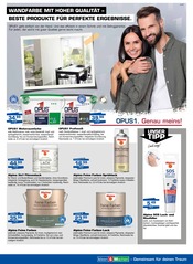 Aktueller Bauzentrum Borgers Prospekt mit Farbe, "ENTFALTEN SIE DEN ZAUBER DER WEIHNACHTSZEIT – SCHNELL SEIN LOHNT SICH!", Seite 2