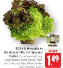 EDEKA Schönau Prospekt mit  im Angebot für 1,49 €
