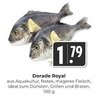 Dorade Royal Angebote bei Hieber Lörrach für 1,79 €