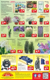 Blumenzwiebeln im Zimmermann Prospekt in Göttingen Aktueller Zimmermann Prospekt mit Blumenzwiebeln, "Aktuelle Angebote", Seite 10