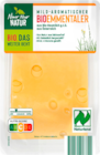 Bio-Heumilchkäse im Angebot bei ALDI SÜD in Voerde Bio-Heumilchkäse Angebote von Nur Nur Natur bei ALDI SÜD Voerde für 2,39 €