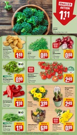Blumen im REWE Prospekt in Kamen Aktueller REWE Prospekt mit Blumen, "Dein Markt", Seite 5