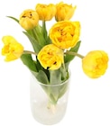 Tulpen Pomponette Angebote bei Penny Stendal für 3,33 €