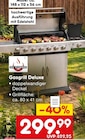 Aktuelles Gasgrill Deluxe Angebot bei Netto Marken-Discount in Krefeld ab 299,99 €