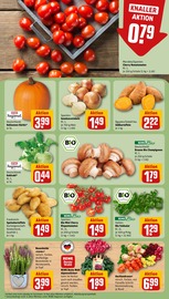 Ähnliche Angebote wie Erdbeerpflanzen im Prospekt "Dein Markt" auf Seite 7 von REWE in Bremen