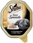 Katzennahrung Angebote von Sheba bei REWE Marl für 0,49 €