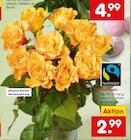 Edelrosen von  im aktuellen Netto Marken-Discount Prospekt für 2,99 €
