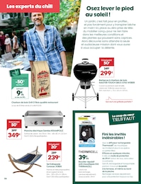 Prix et réduction Grille Barbecue dans le prospectus Truffaut en cours Offre Grille Barbecue dans le catalogue Truffaut du moment à la page 6