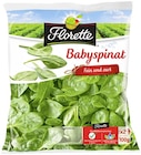 Aktuelles Babyspinat oder Kopfsalat Angebot bei REWE in Düsseldorf ab 1,59 €