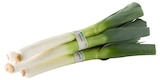 Bio Porree Angebote von REWE Bio bei REWE Schwerte für 1,79 €