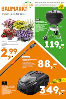 Pflanzen im Globus-Baumarkt Prospekt "Immer eine Idee besser" mit 16 Seiten (Braunschweig)