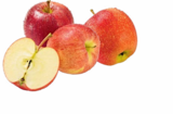 Äpfel rot im Angebot bei Netto Marken-Discount in Hoyerswerda Äpfel rot Angebote von HEIMAT bei Netto Marken-Discount Hoyerswerda für 1,49 €