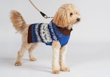 Hundejacke oder Hundepullover im REWE Prospekt Hundejacke oder Hundepullover von ZooRoyal im aktuellen REWE Prospekt für 5,99 €