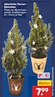 Aktuelle Weihnachtsbaum Angebote bei Netto Marken-Discount in Lehrte Aktuelles dekoriertes Tannenbäumchen Angebot bei Netto Marken-Discount in Lehrte ab 7,99 €