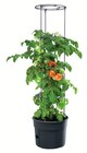 Rank-Pflanztopf für Tomatenpflanzen Angebote bei Wreesmann Bremerhaven für 14,99 €